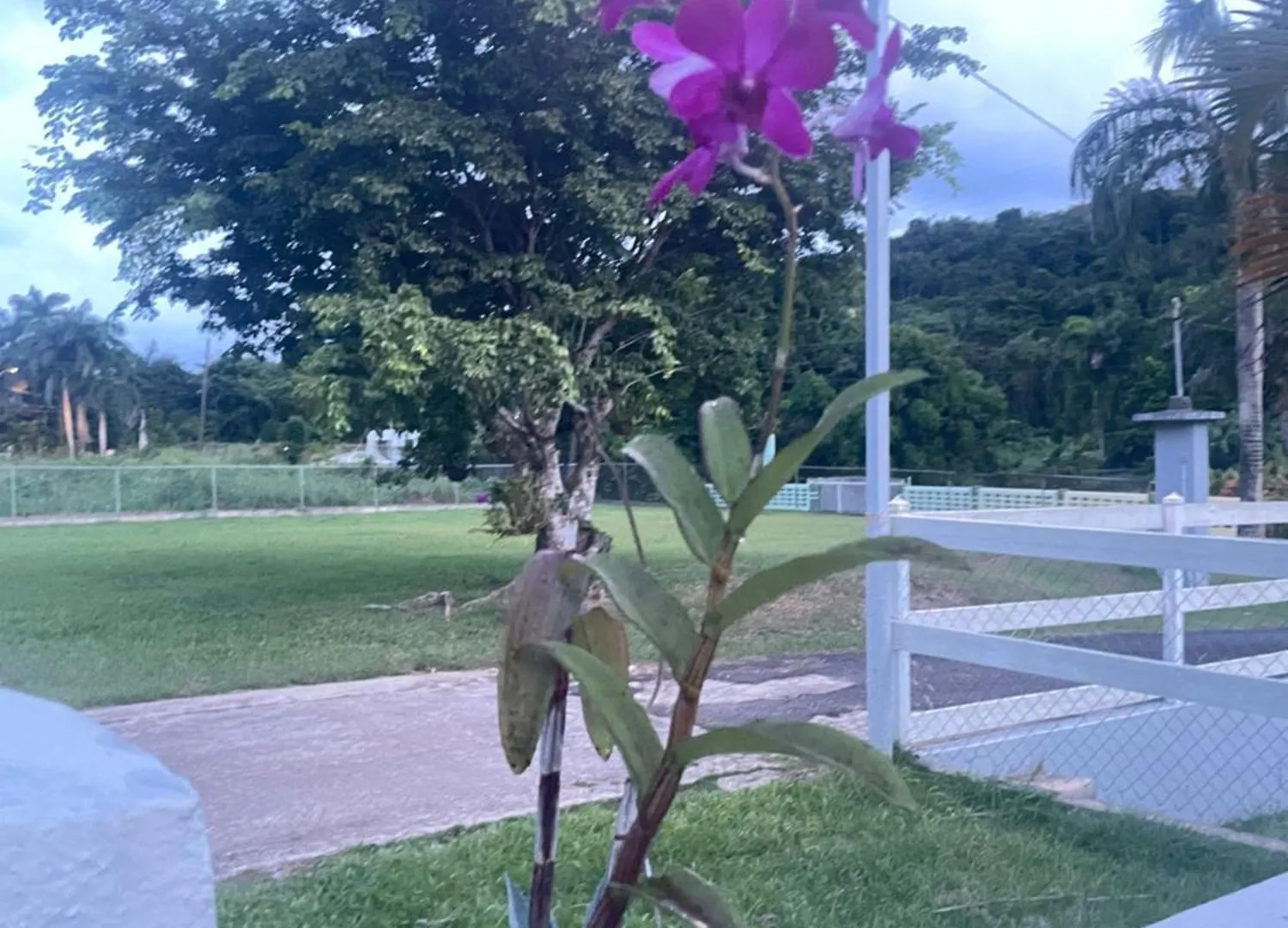 Hacienda Bello Sitio Hotell Playa Fortuna
